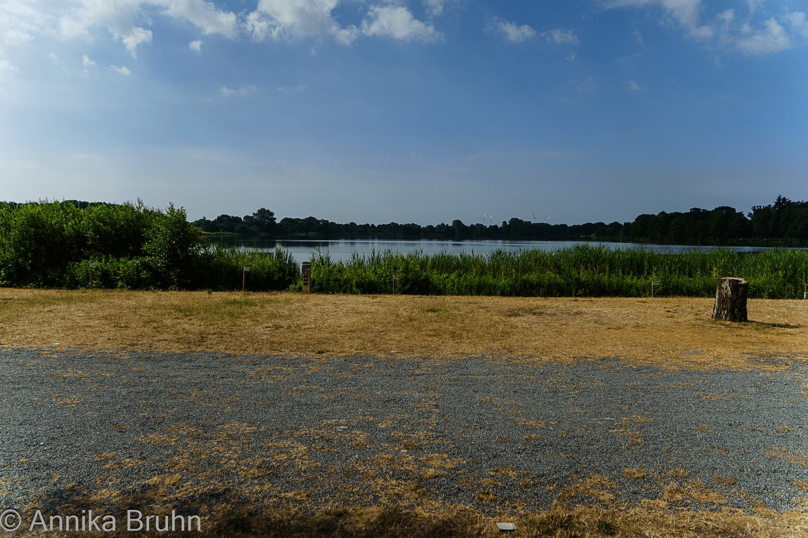 Aussicht auf den Borgdorfer See!